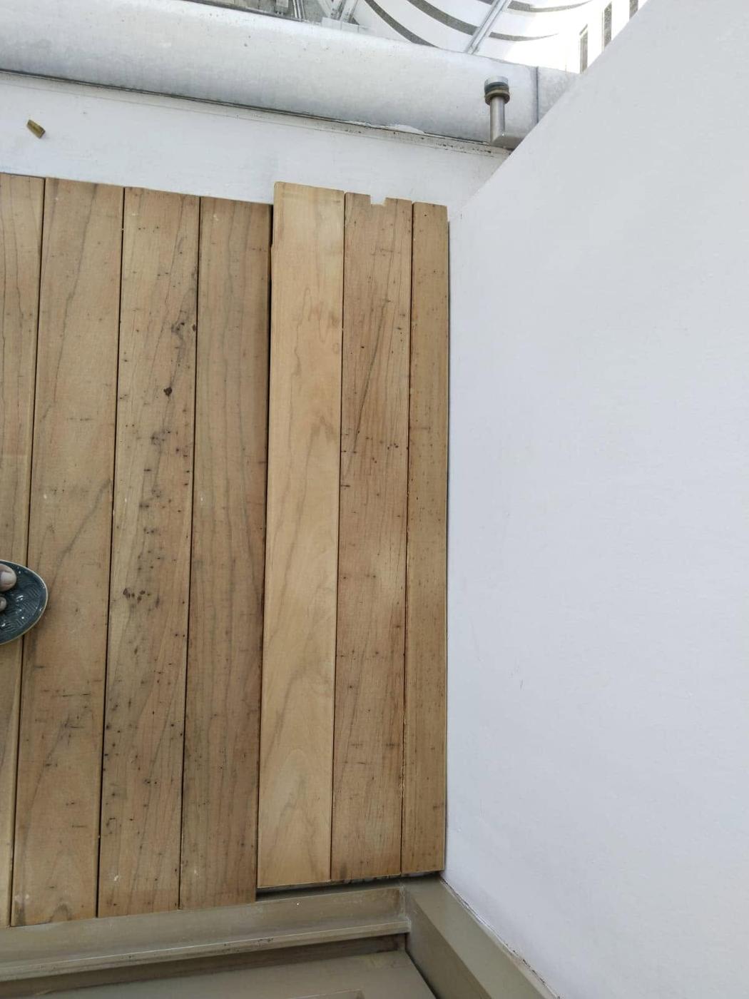 Mould, algae & slippery deck